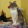 Отзыв от Яна Новикова